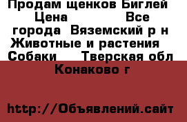 Продам щенков Биглей › Цена ­ 15 000 - Все города, Вяземский р-н Животные и растения » Собаки   . Тверская обл.,Конаково г.